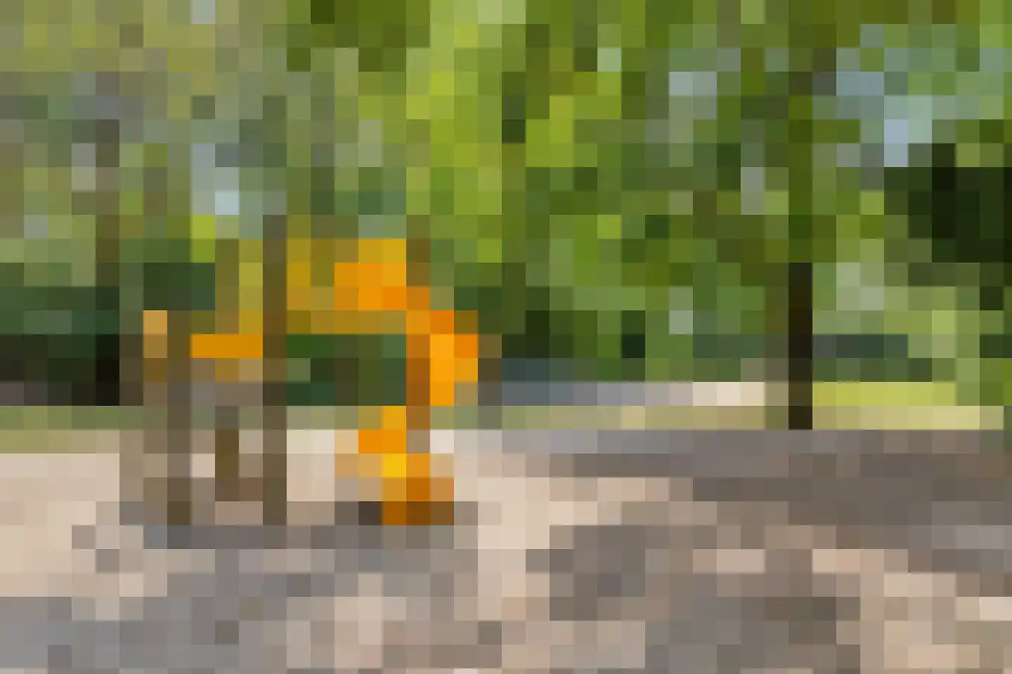 Normandielaan 85 Eindhoven thumbnail 43