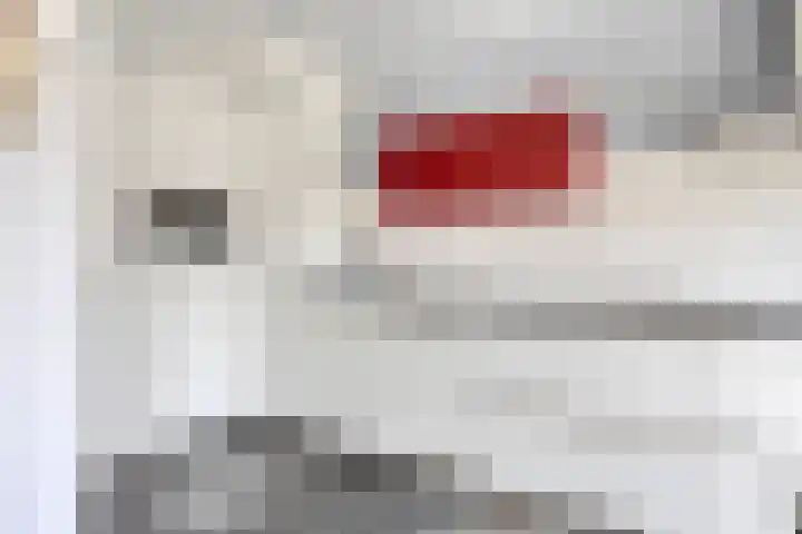 Normandielaan 99 Eindhoven thumbnail 11