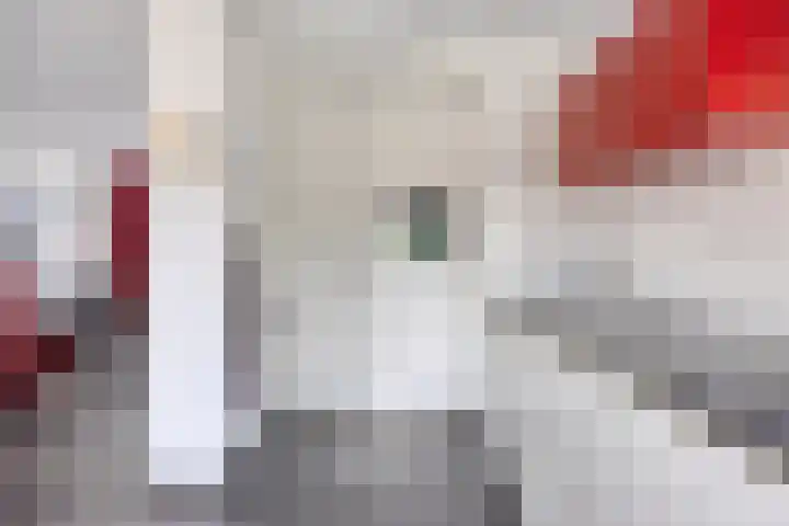 Normandielaan 99 Eindhoven thumbnail 13