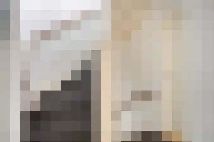Normandielaan 99 Eindhoven thumbnail 15