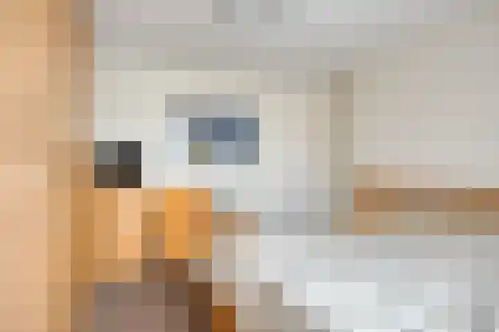 Normandielaan 99 Eindhoven thumbnail 17