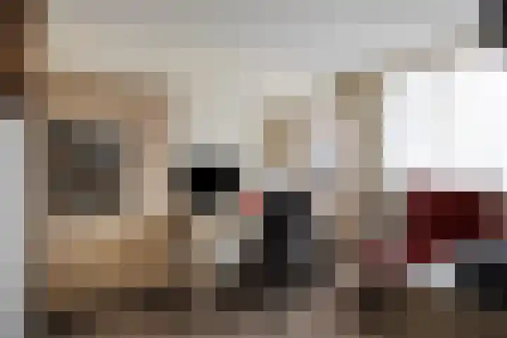 Normandielaan 99 Eindhoven thumbnail 21