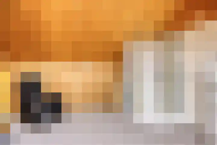 Normandielaan 99 Eindhoven thumbnail 26