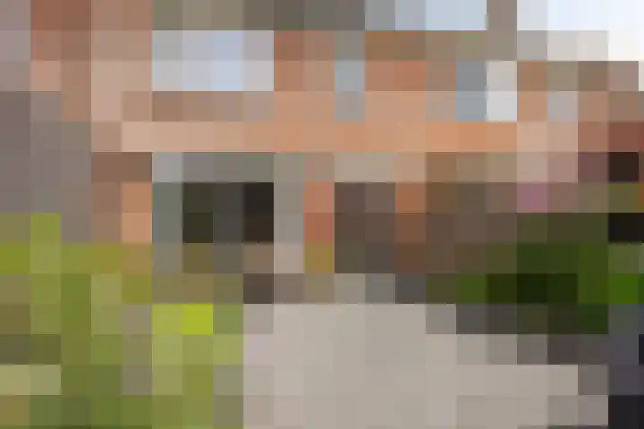 Normandielaan 99 Eindhoven thumbnail 27