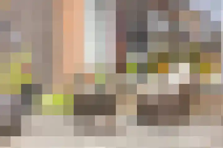 Normandielaan 99 Eindhoven thumbnail 29