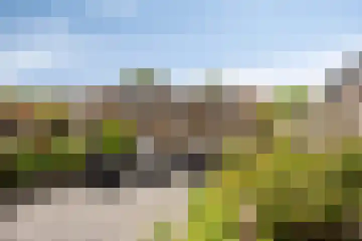 Normandielaan 99 Eindhoven thumbnail 31