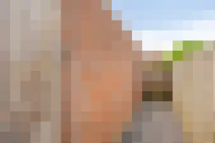 Normandielaan 99 Eindhoven thumbnail 33