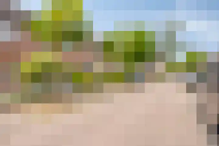 Normandielaan 99 Eindhoven thumbnail 36