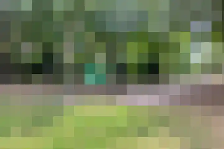 Normandielaan 99 Eindhoven thumbnail 37