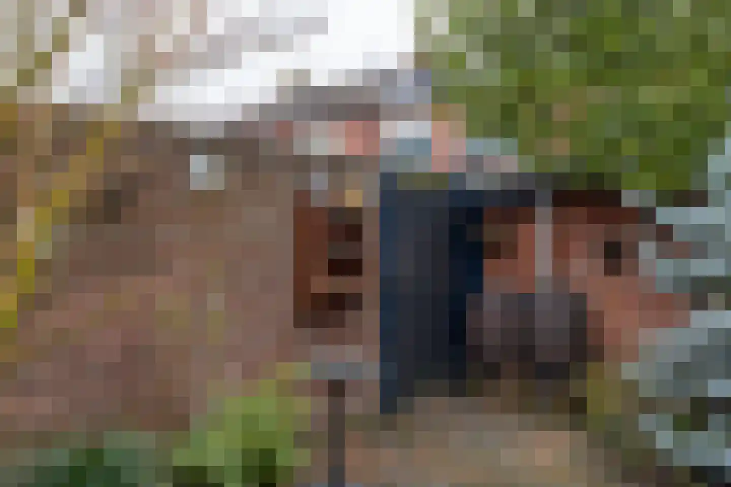 Normandiestraat 18 Groenlo thumbnail 35