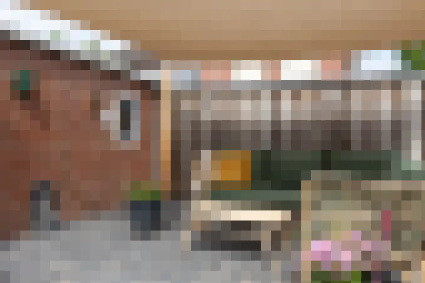 Normandiestraat 2 Groenlo thumbnail 34