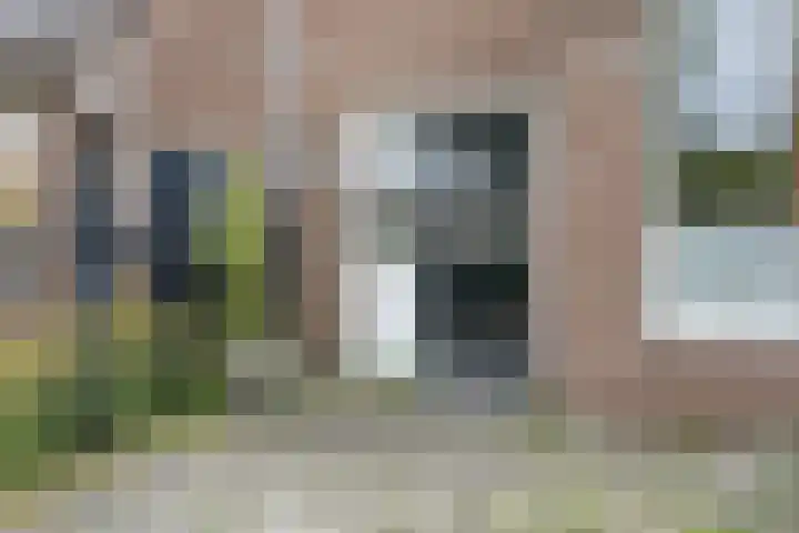 Normandiëstraat 25 Alkmaar thumbnail 4