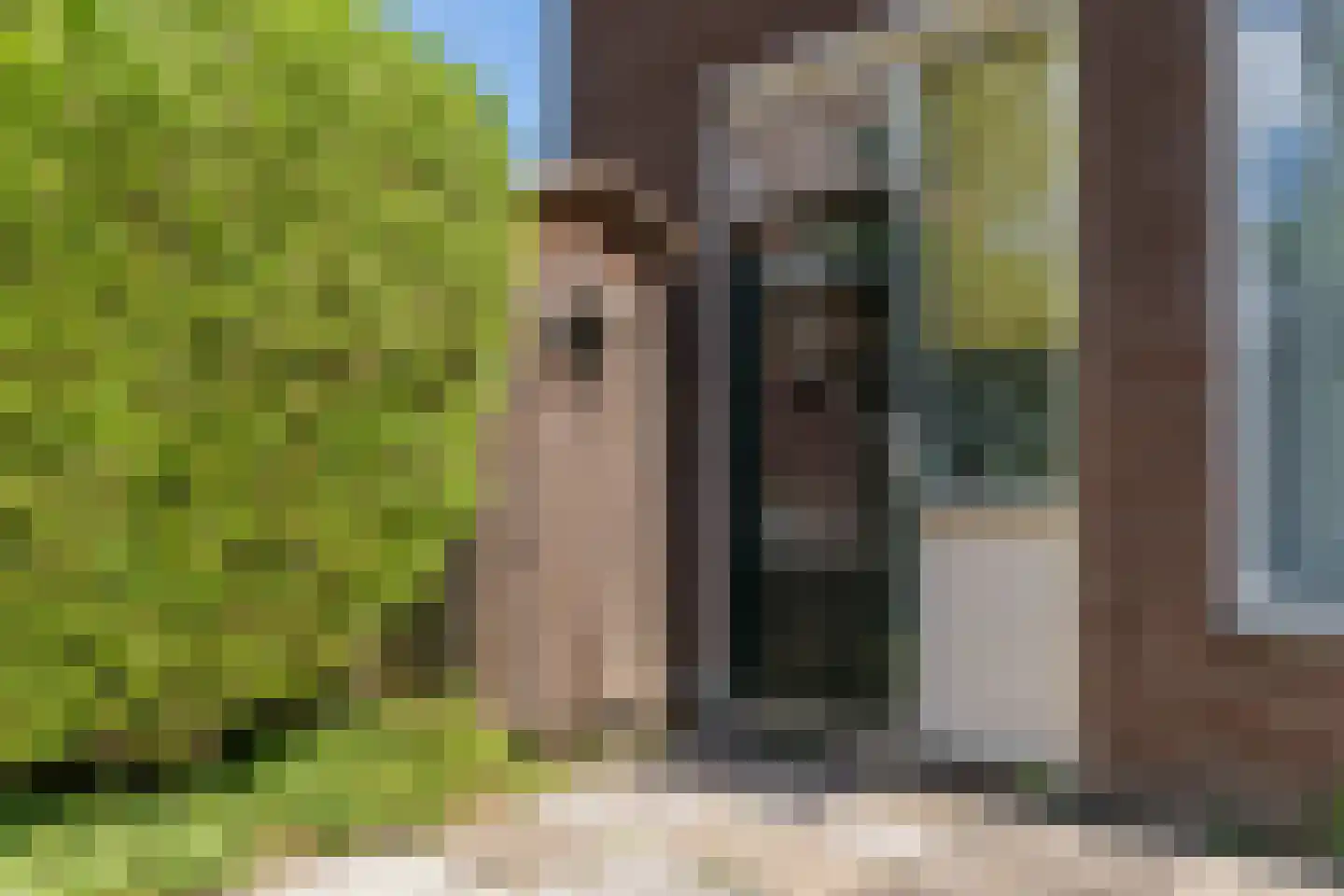Normandiëstraat 39 Alkmaar thumbnail 37