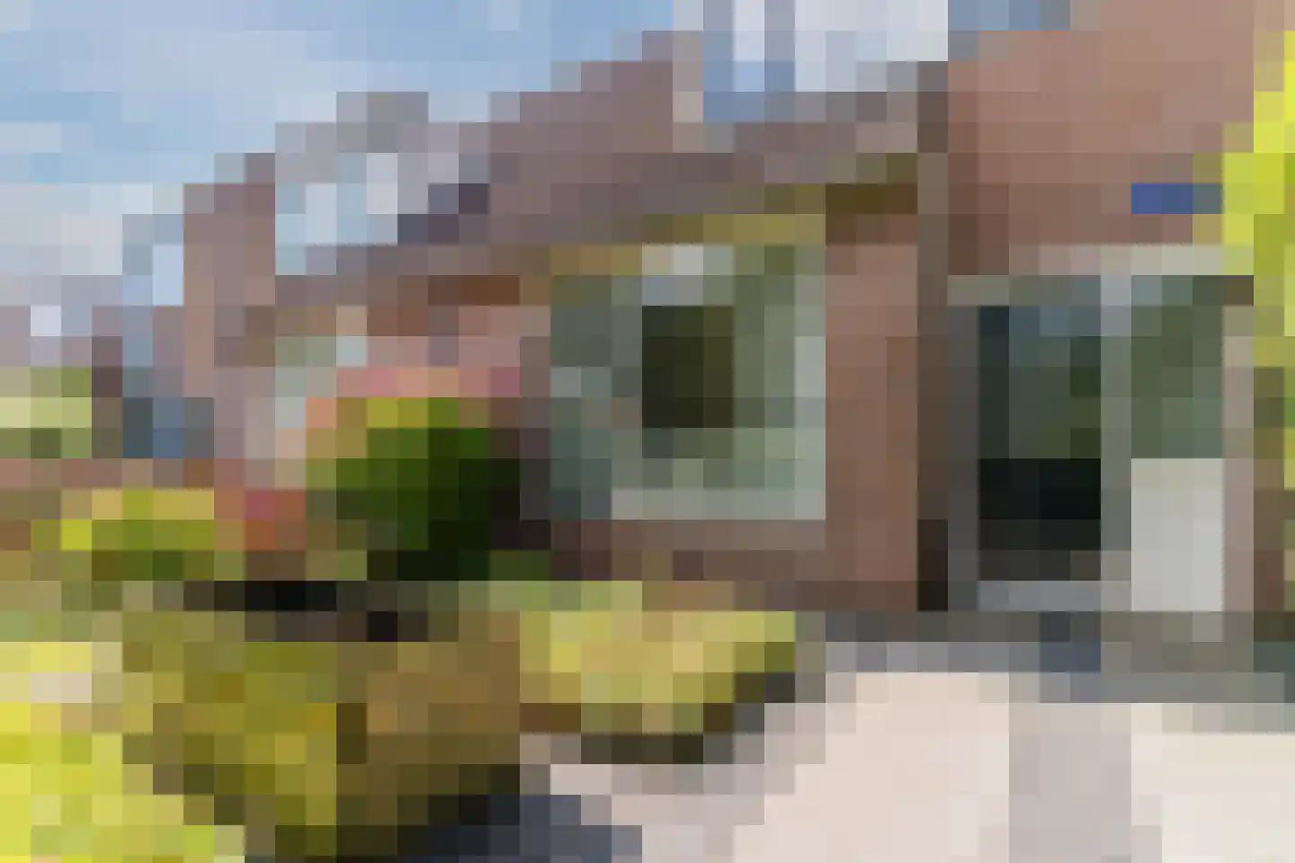 Normandiëstraat 39 Alkmaar thumbnail 43