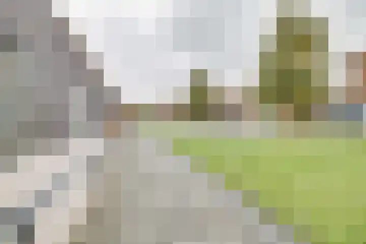 Normastraat 26 Apeldoorn thumbnail 28