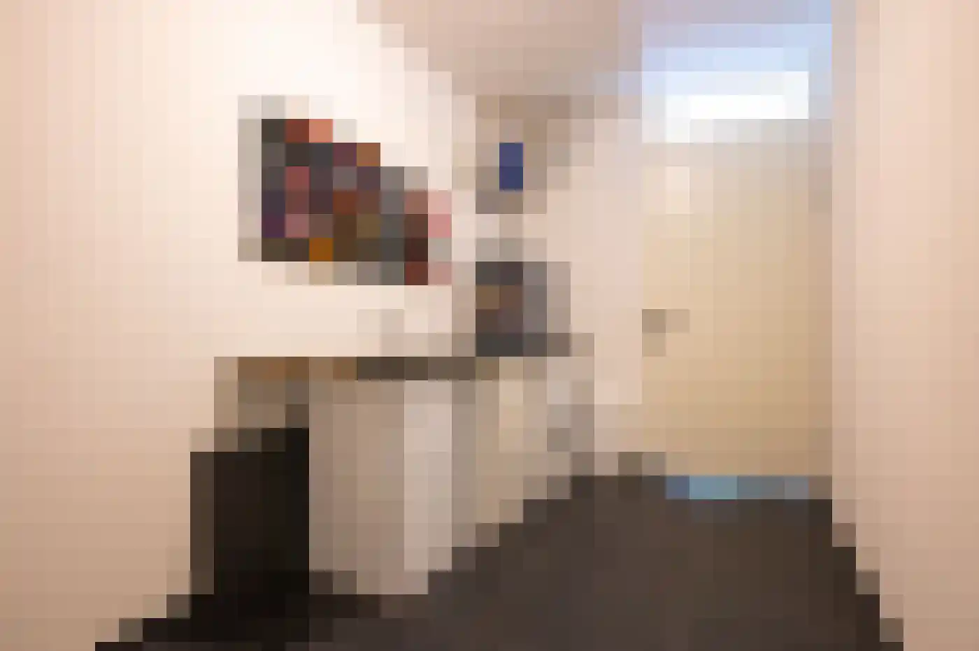 Normastraat 42 Apeldoorn thumbnail 16