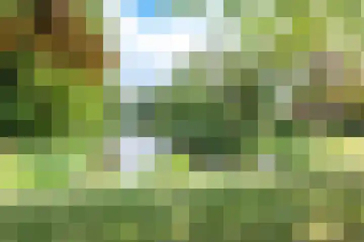 Normastraat 6 Apeldoorn thumbnail 17