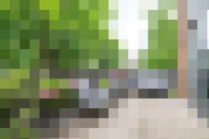 Normastraat 6 Apeldoorn thumbnail 26