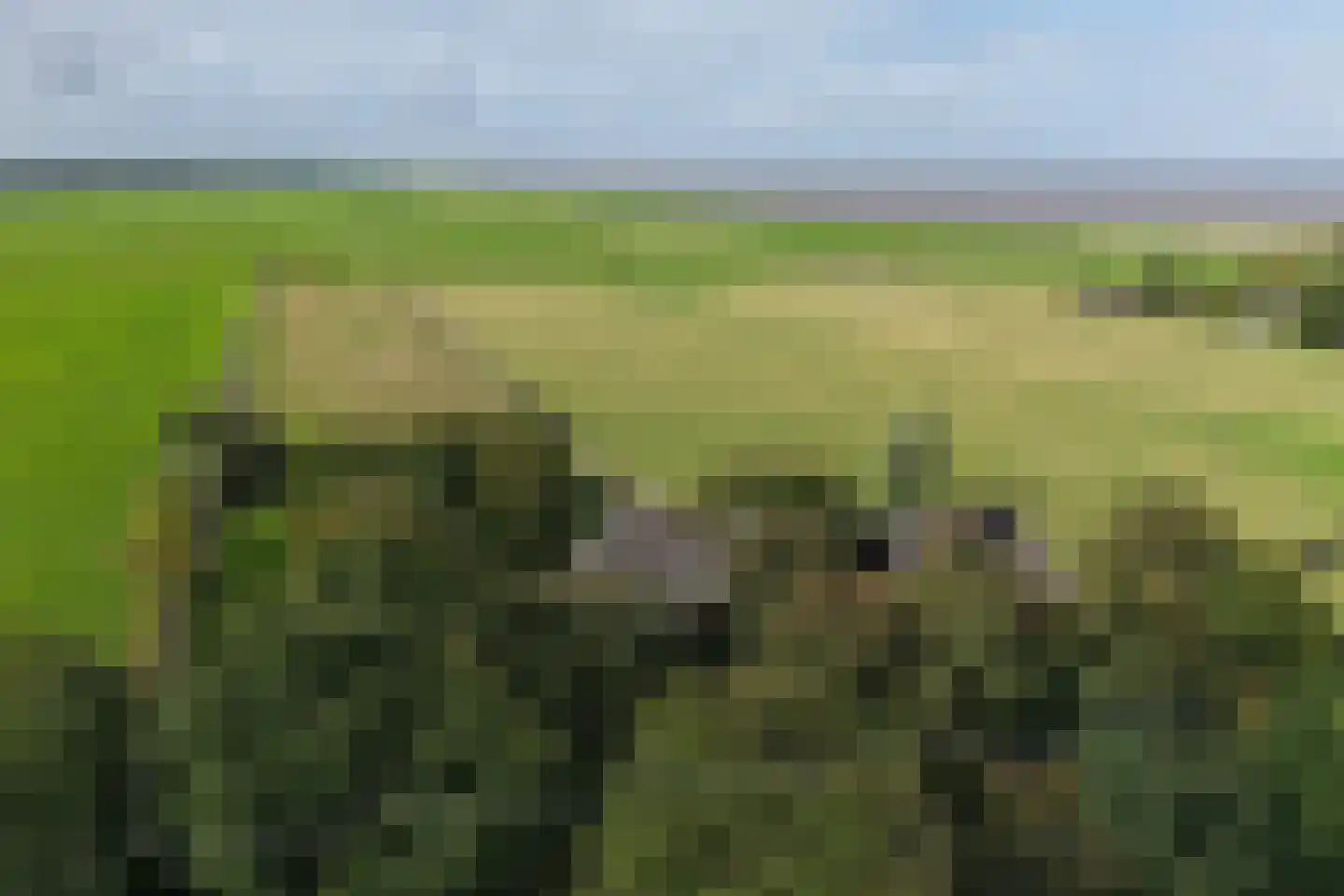 Normerweg 6 Hippolytushoef