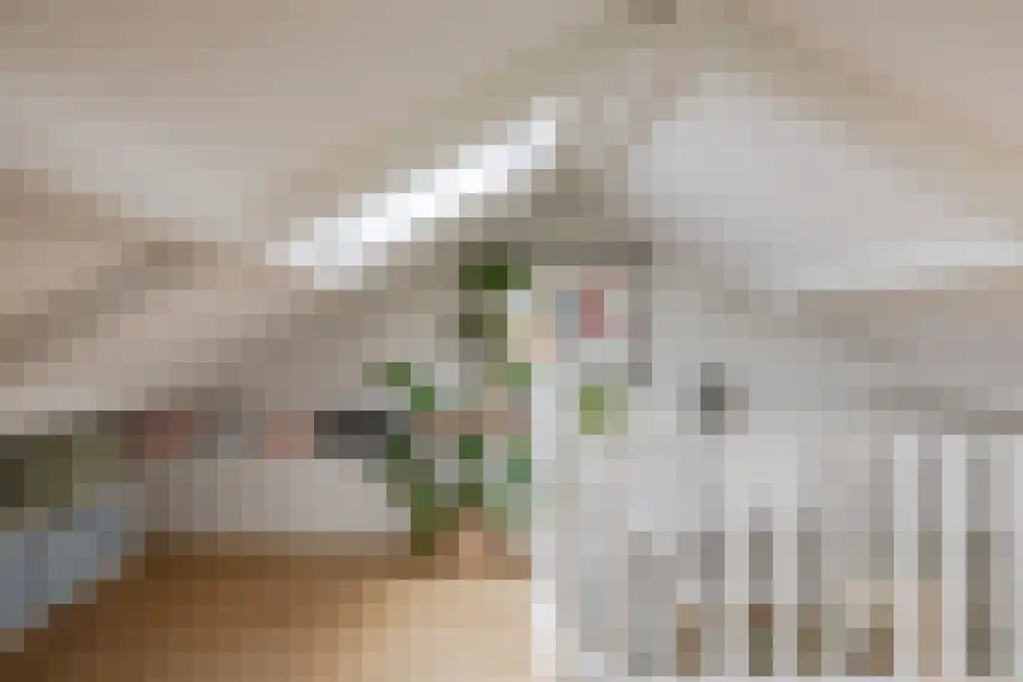Normerweg 6 Hippolytushoef thumbnail 16