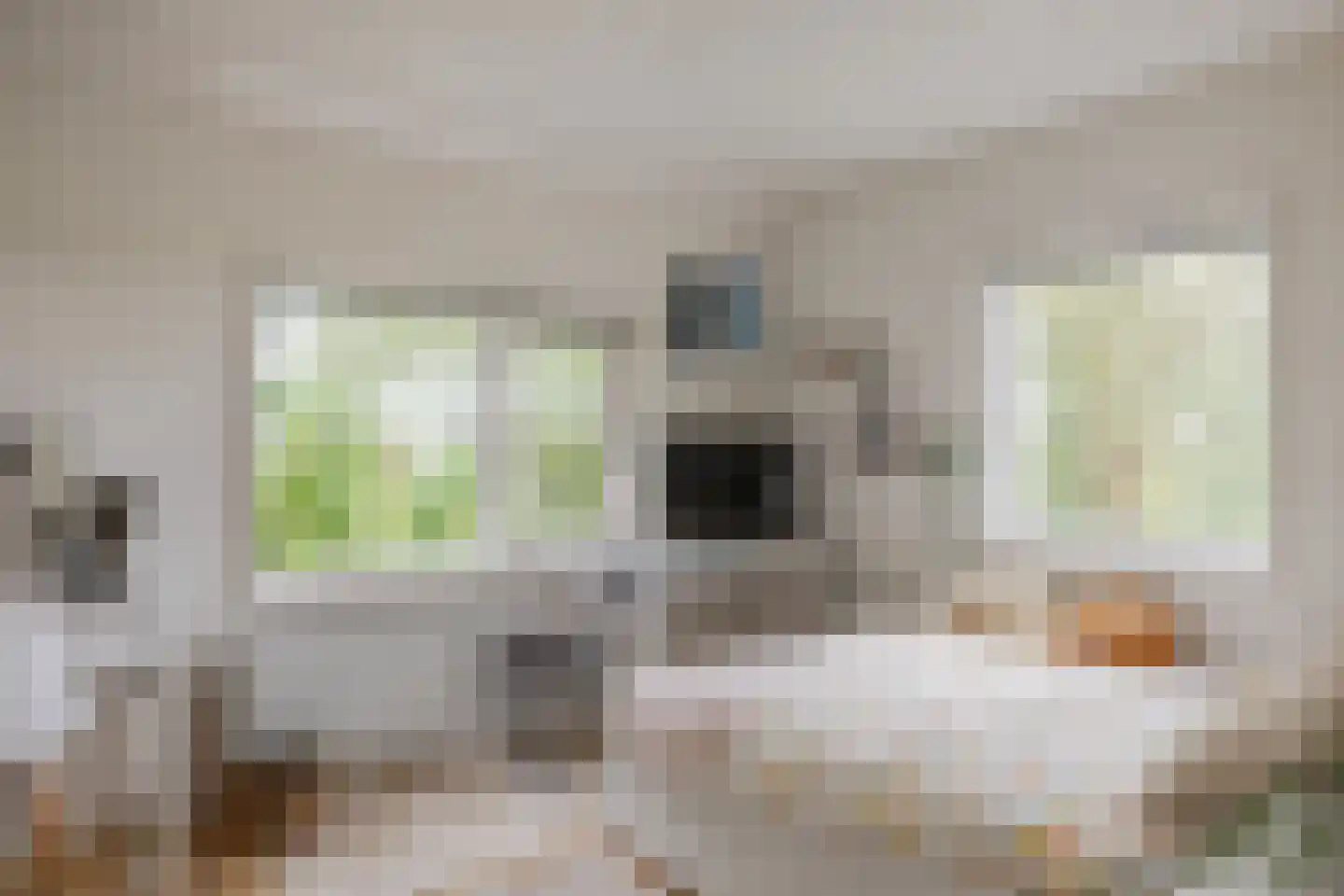 Normerweg 6 Hippolytushoef thumbnail 17