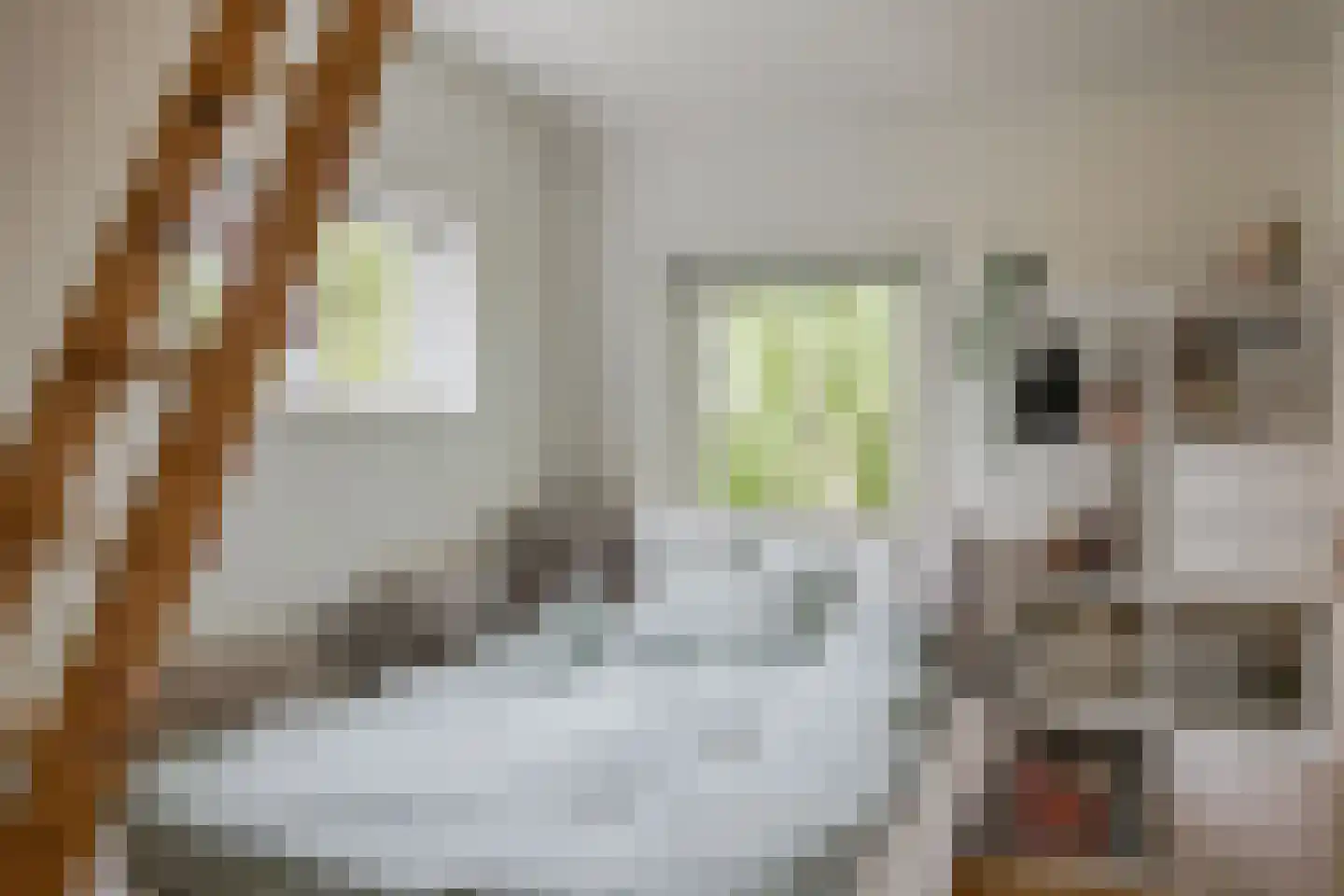 Normerweg 6 Hippolytushoef thumbnail 20