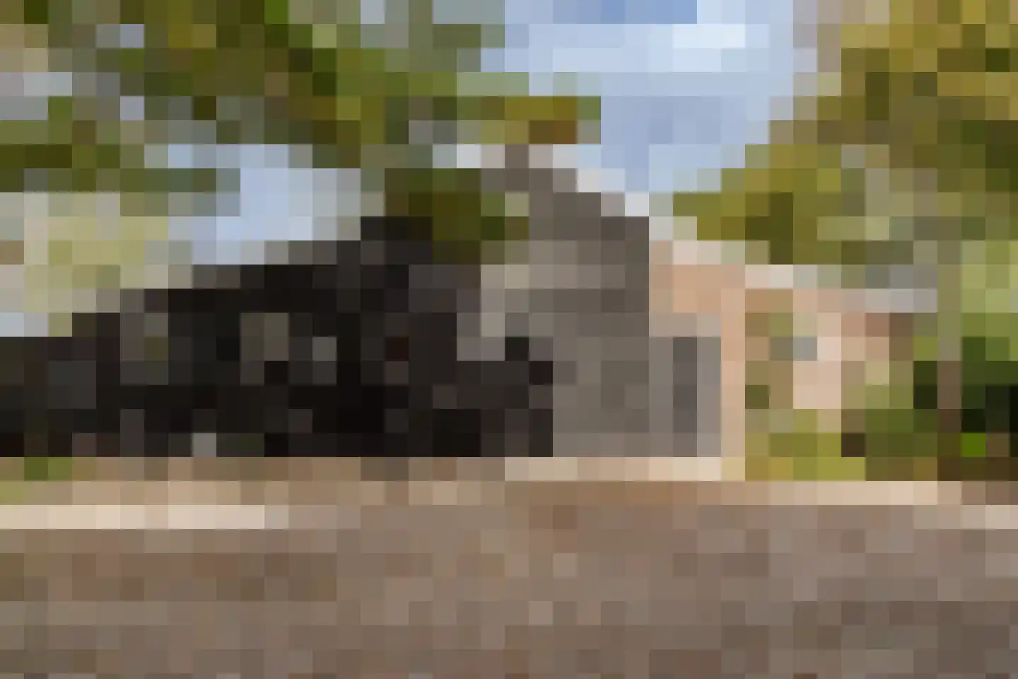 Normerweg 6 Hippolytushoef thumbnail 21