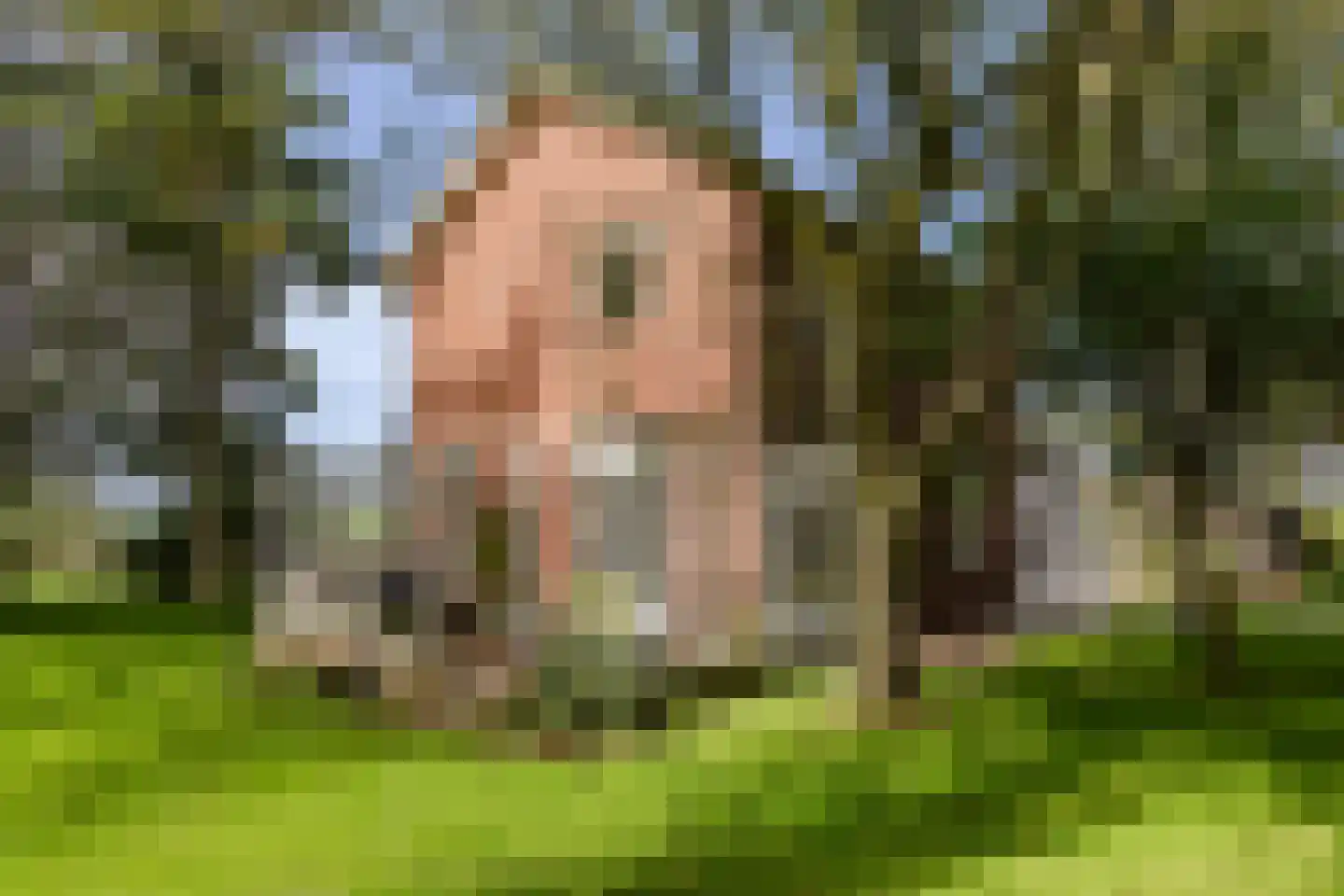 Normerweg 6 Hippolytushoef thumbnail 28