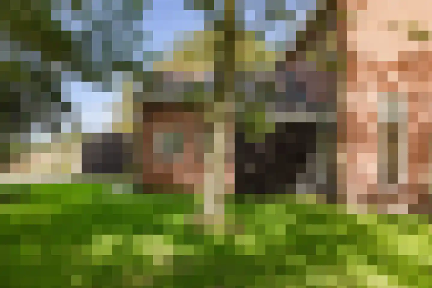 Normerweg 6 Hippolytushoef thumbnail 29