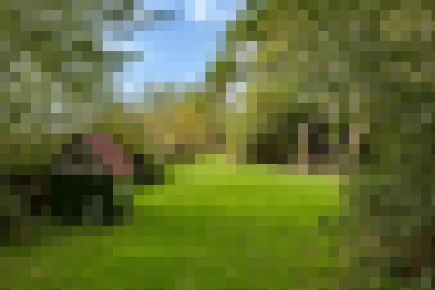 Normerweg 6 Hippolytushoef thumbnail 31