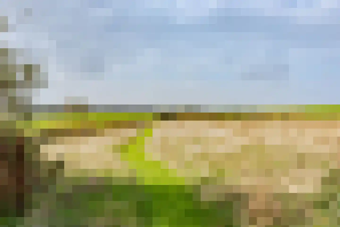 Normerweg 6 Hippolytushoef thumbnail 32