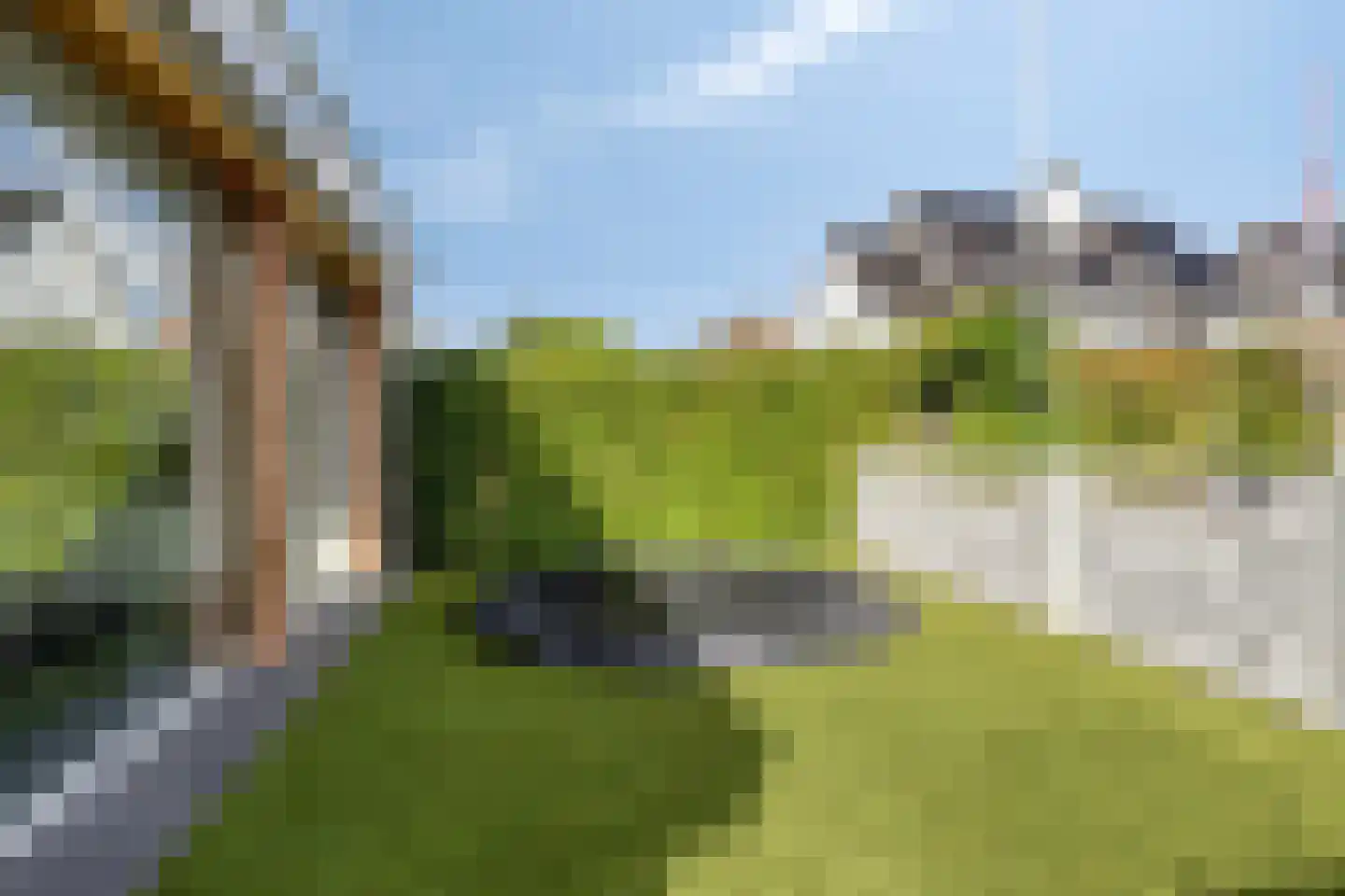Norremeerstraat 17 Warmond thumbnail 19