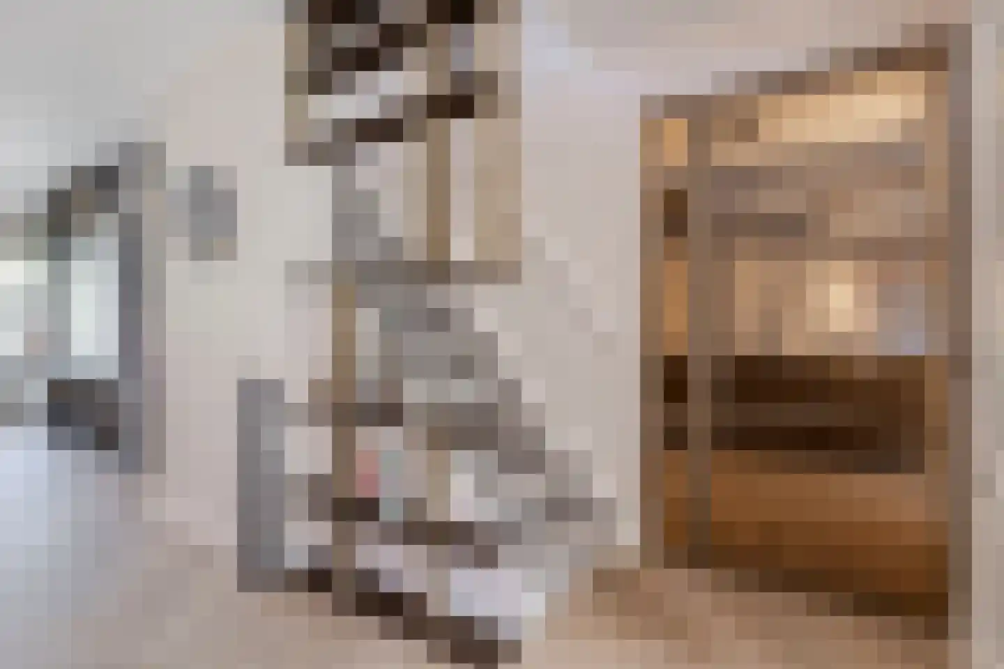 Norremeerstraat 17 Warmond thumbnail 22