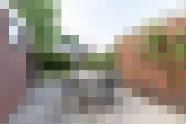 Norritsstraat 9 Noordhorn thumbnail 12