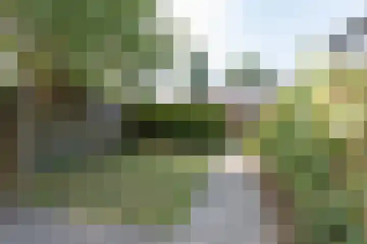 Norritsstraat 9 Noordhorn thumbnail 14