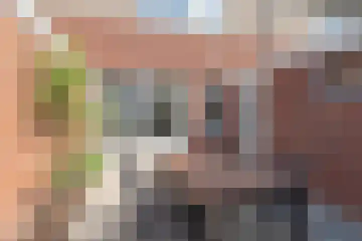 Norritsstraat 9 Noordhorn thumbnail 17