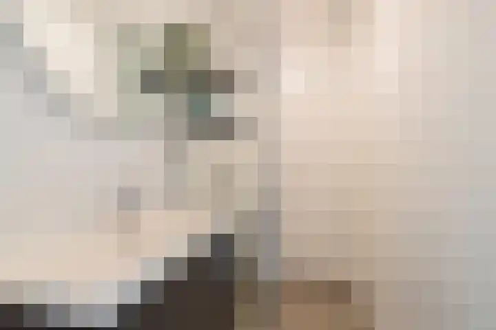 Norritsstraat 9 Noordhorn thumbnail 26