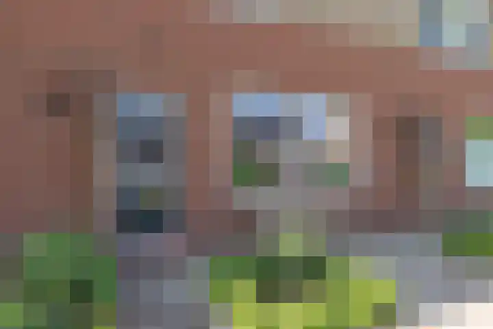 Norritsstraat 9 Noordhorn thumbnail 5
