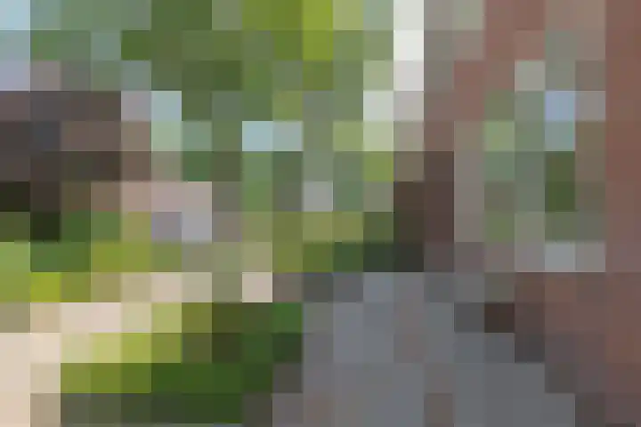 Norritsstraat 9 Noordhorn thumbnail 6