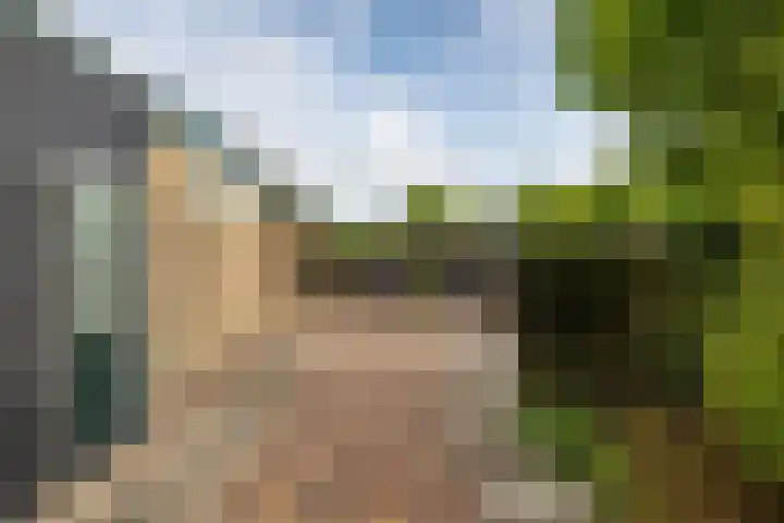 Notaris A.H. Agessingel 44 Leens thumbnail 4