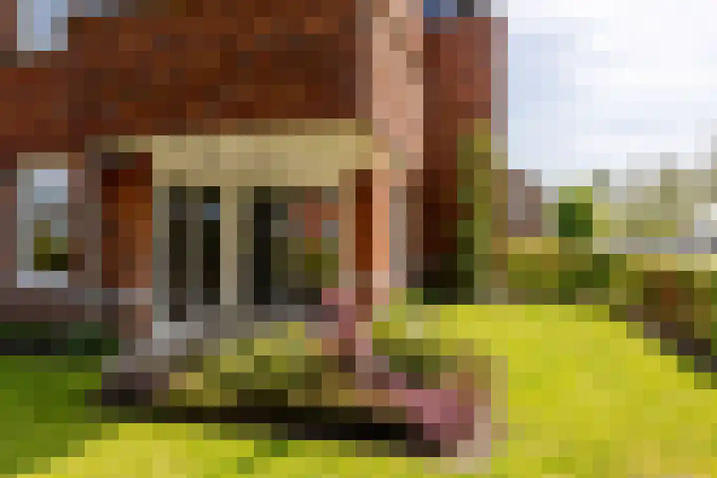 Notaris d'Aumerielaan 27 Reeuwijk thumbnail 42