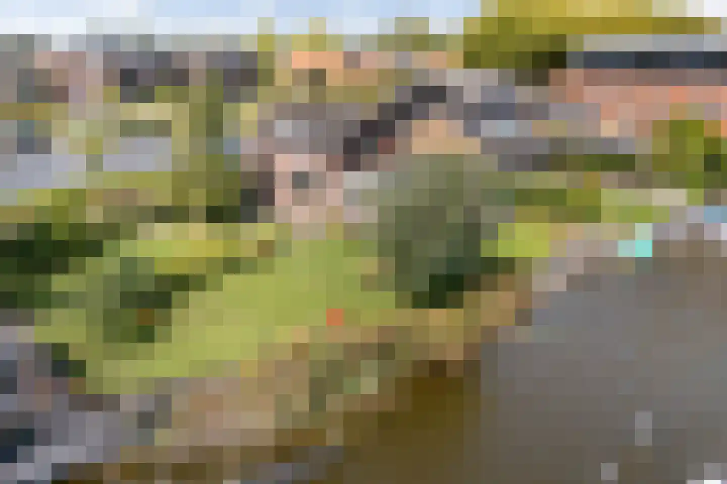 Notaris d'Aumerielaan 33 in Reeuwijk