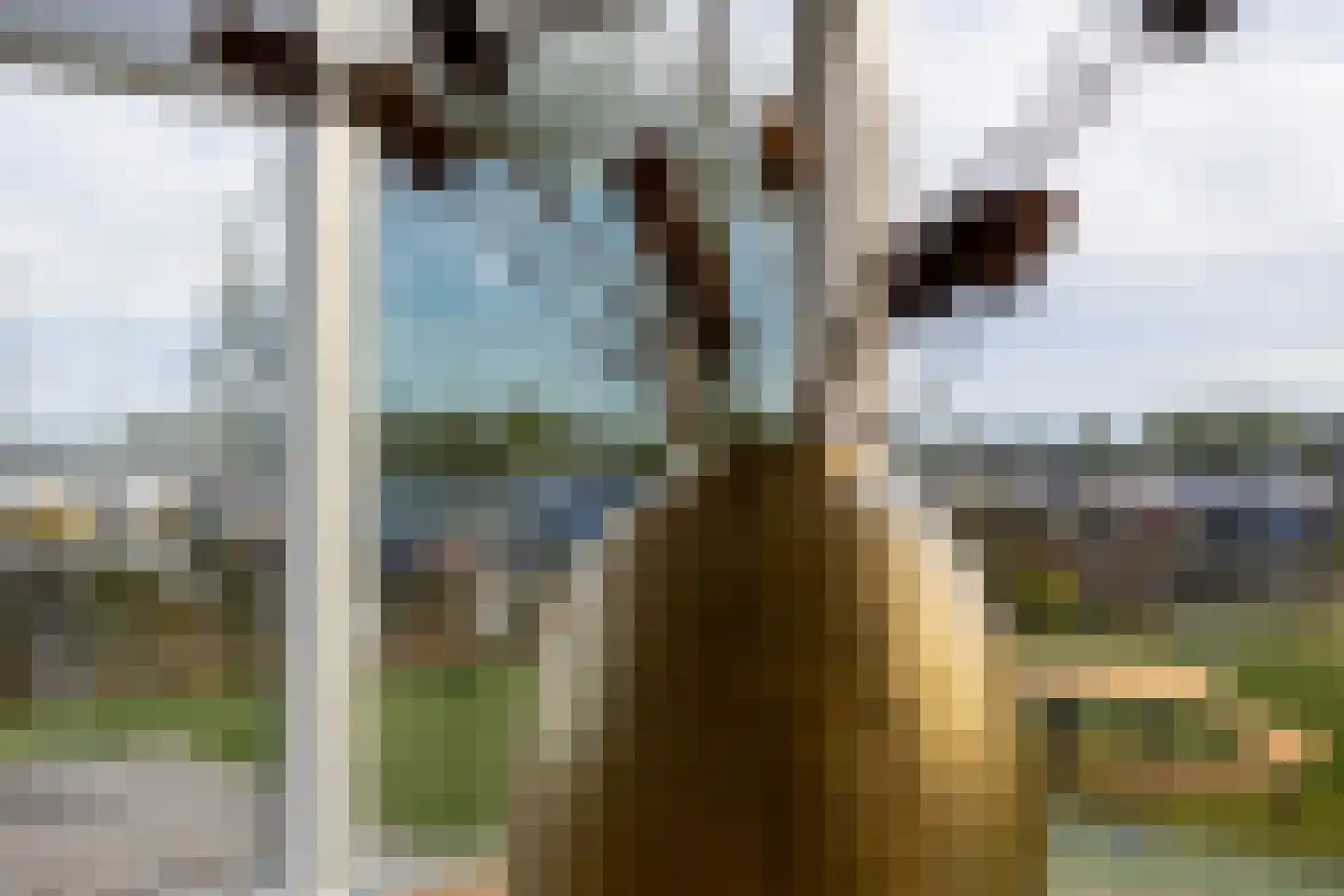 Notaris d'Aumerielaan 33 Reeuwijk thumbnail 21