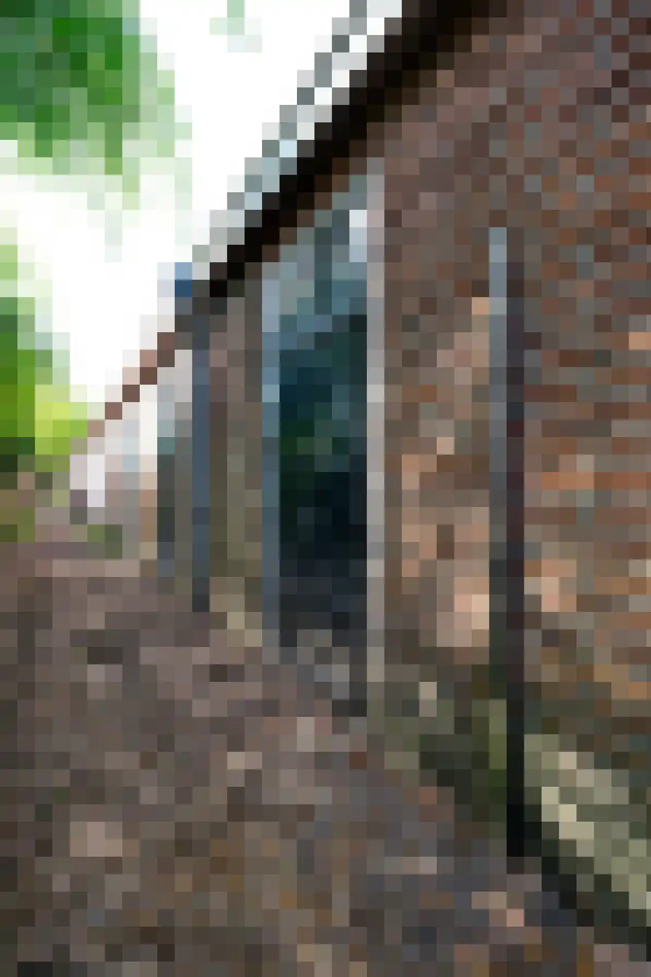 Notaris Fischerstraat 13 2 Ede thumbnail 23