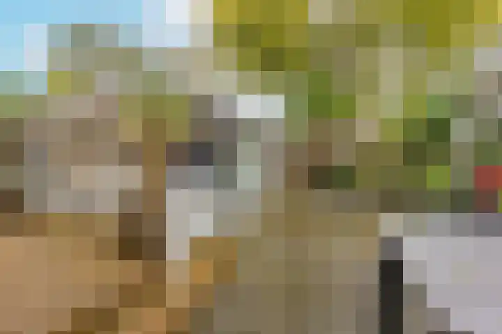 Notaris Fischerstraat 15 Ede thumbnail 4