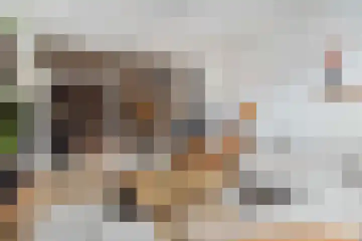 Notaris Fischerstraat 15 Ede thumbnail 9