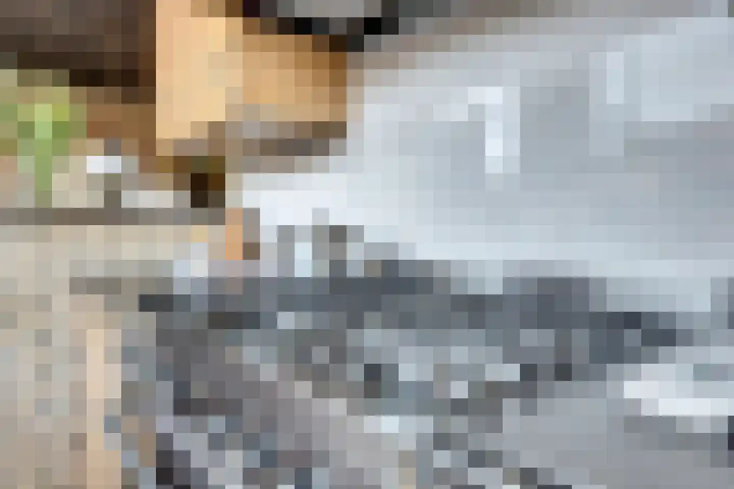 Notaris L P vd Blinkln 11 a Brielle thumbnail 19