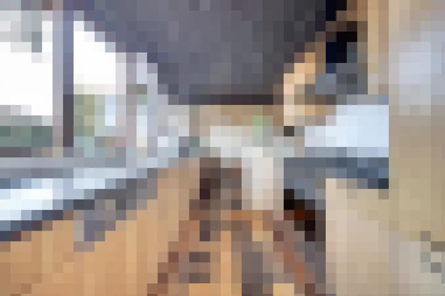Notaris L P vd Blinkln 11 a Brielle thumbnail 20