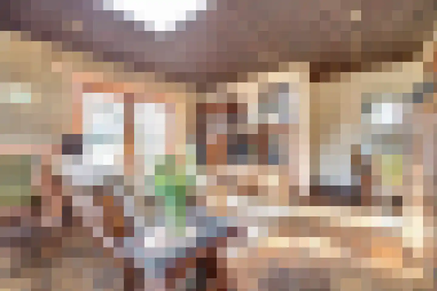 Notaris L P vd Blinkln 11 a Brielle thumbnail 33