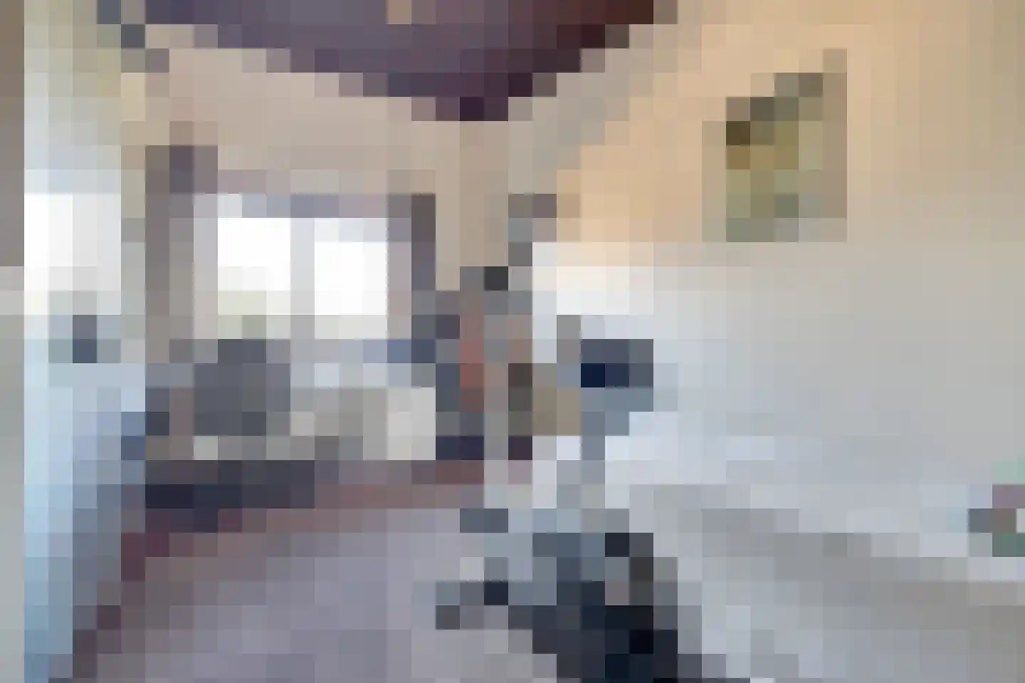 Notaris L P vd Blinkln 11 a Brielle thumbnail 39
